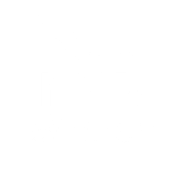 NSB Watch logo